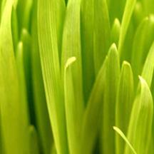 免费ddos在线攻击