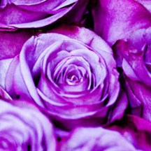 服务器攻击方式